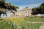 Selinunte the temple hill - Temple E. Perhaps dedicated to Era (Juno), (V century BC), it was reconstructed in the mid-fifties with  the anastylosis method. 
